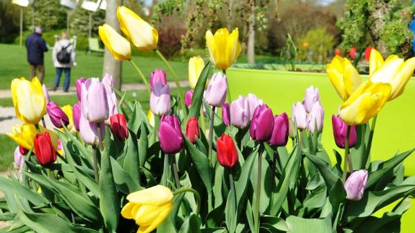 Jetzt miträtseln und gewinnen!