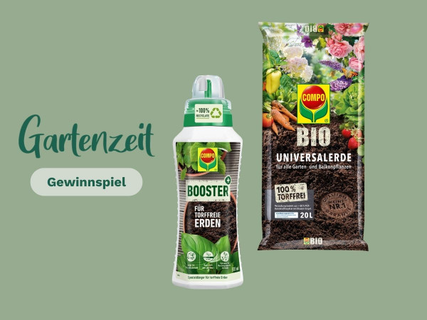 NWZonline  Aktuelle Nachrichten aus Oldenburg, Ammerland, Friesland,  Landkreis Cloppenburg, Landkreis Oldenburg, Wesermarsch, Landkreis Aurich,  Landkreis Leer, Landkreis Wittmund, Emden, Delmenhorst, Bremerhaven und  Wilhelmshaven